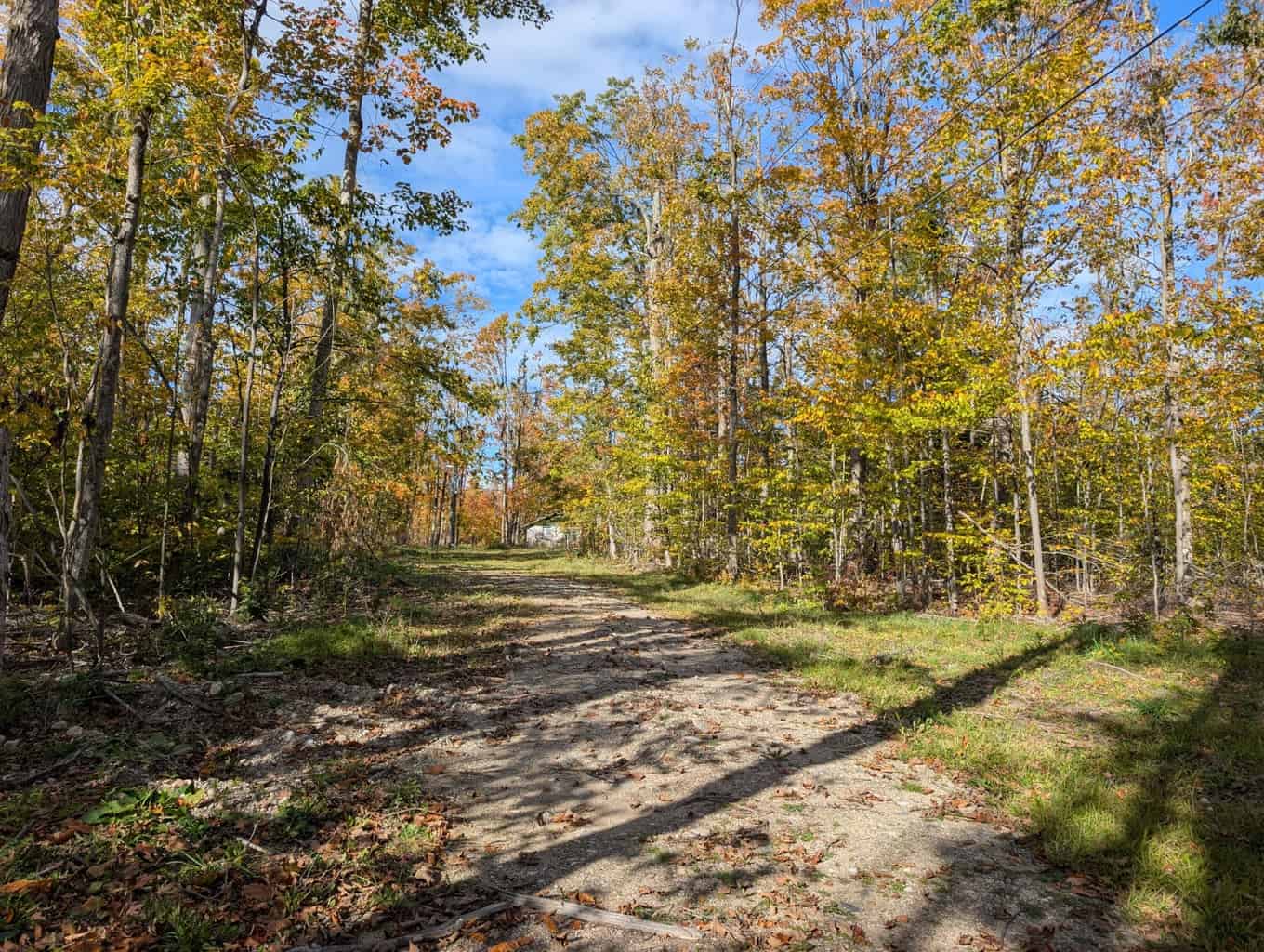 33+ Acre Hunting Camp with Cabin Near Gaylanta Lake, Atlanta MI