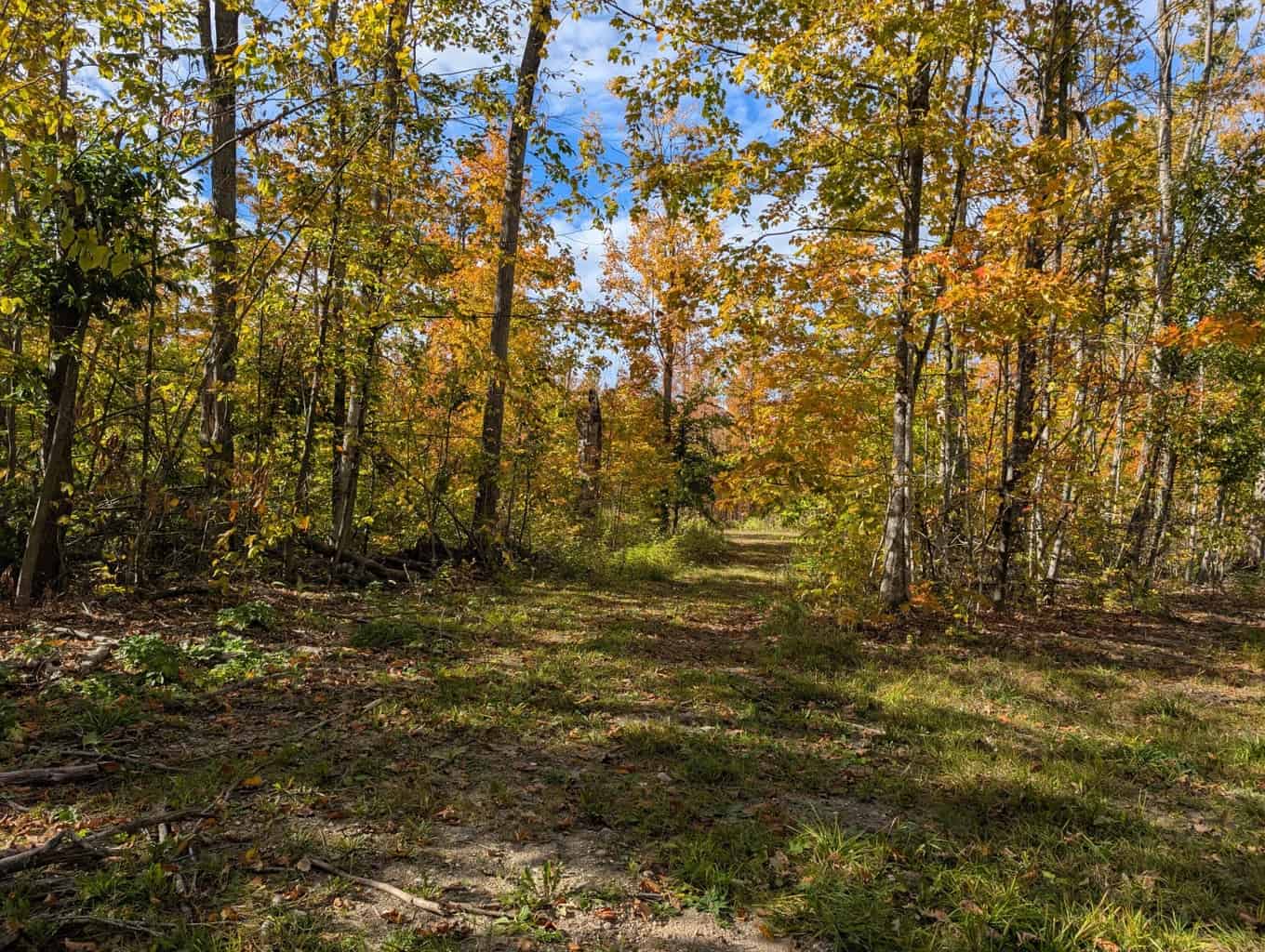 33+ Acre Hunting Camp with Cabin Near Gaylanta Lake, Atlanta MI