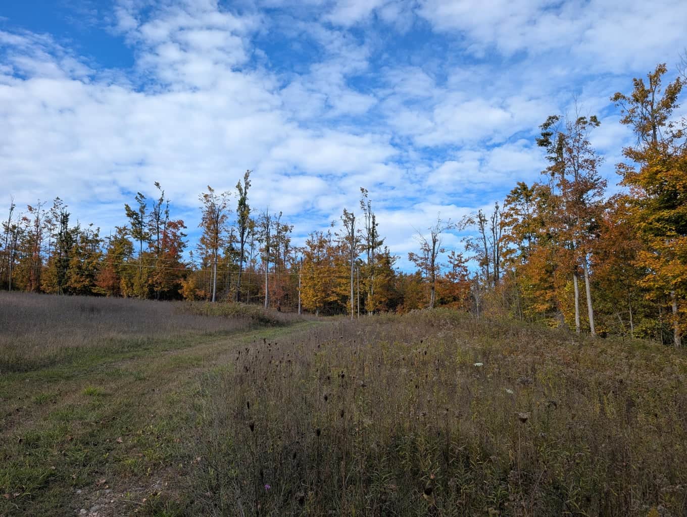 33+ Acre Hunting Camp with Cabin Near Gaylanta Lake, Atlanta MI
