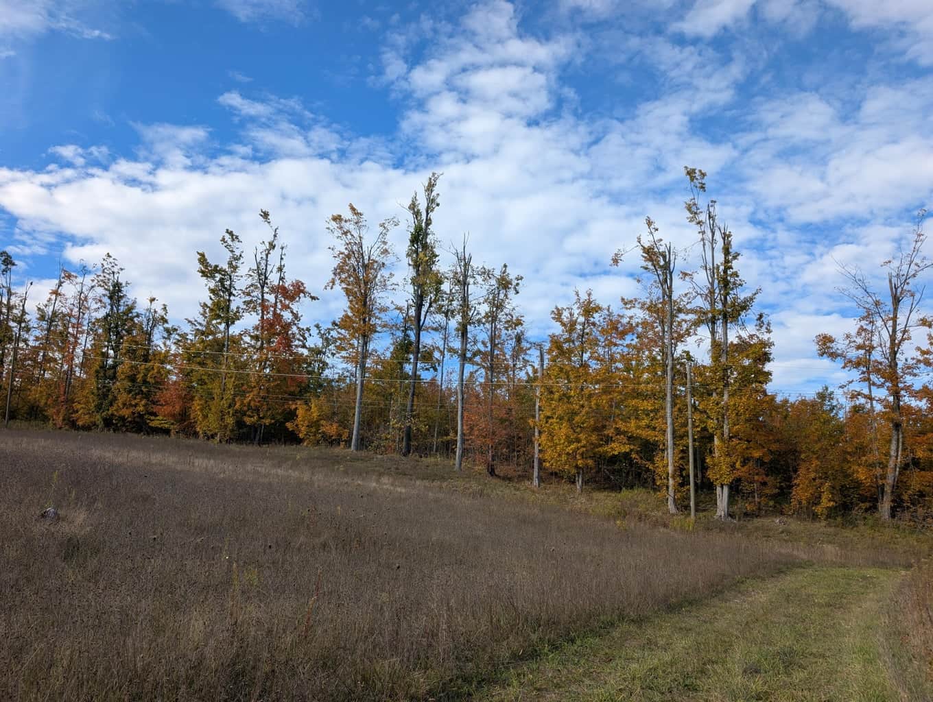 33+ Acre Hunting Camp with Cabin Near Gaylanta Lake, Atlanta MI