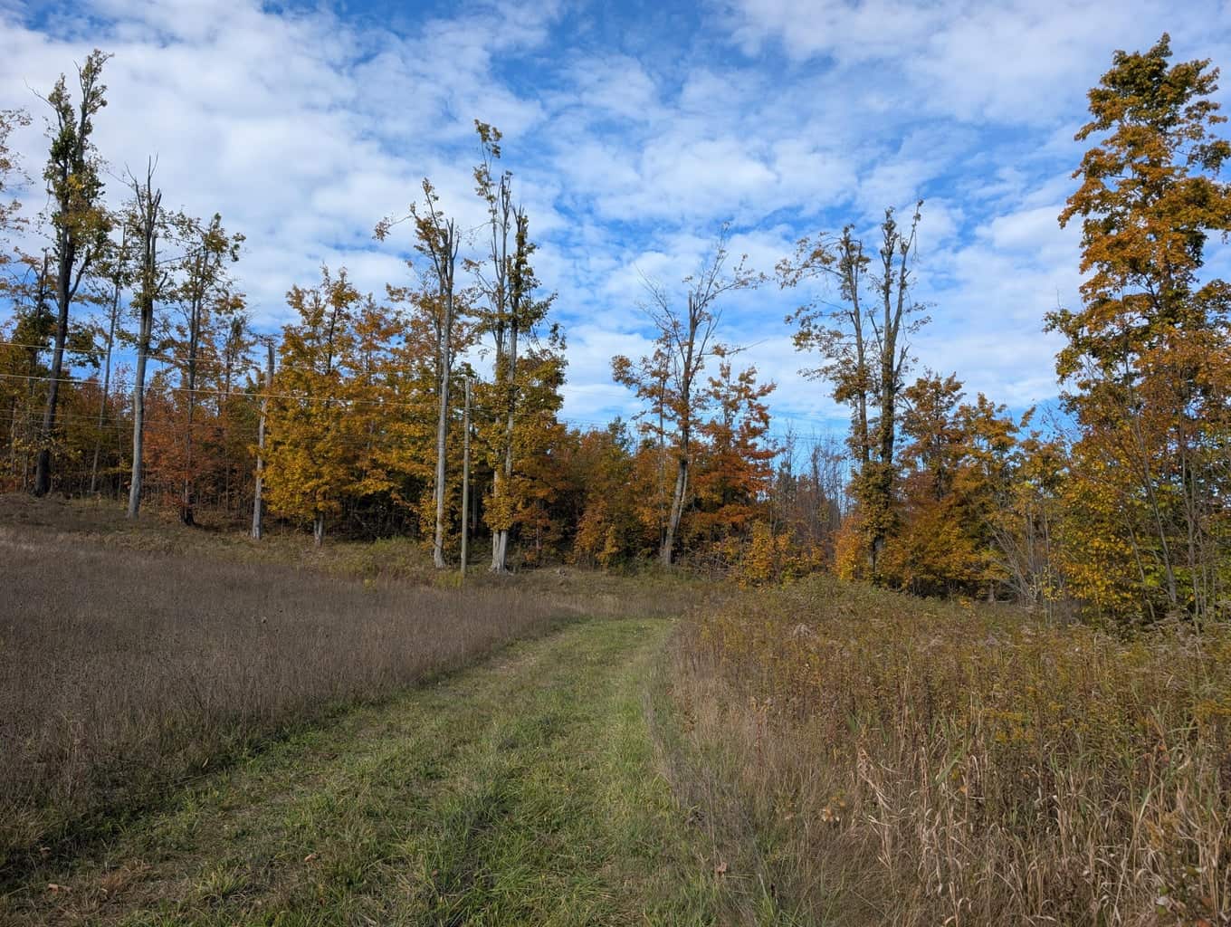 33+ Acre Hunting Camp with Cabin Near Gaylanta Lake, Atlanta MI