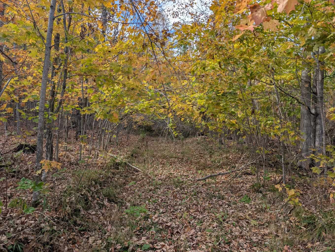 33+ Acre Hunting Camp with Cabin Near Gaylanta Lake, Atlanta MI