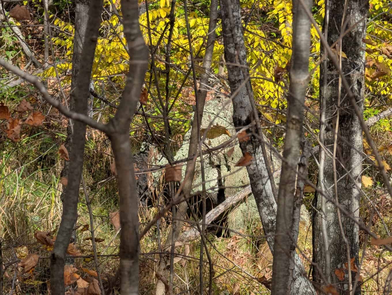 33+ Acre Hunting Camp with Cabin Near Gaylanta Lake, Atlanta MI