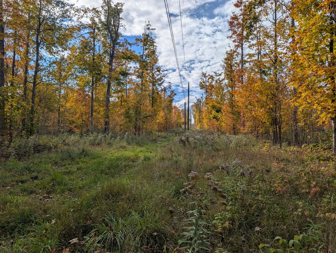 33+ Acre Hunting Camp with Cabin Near Gaylanta Lake, Atlanta MI