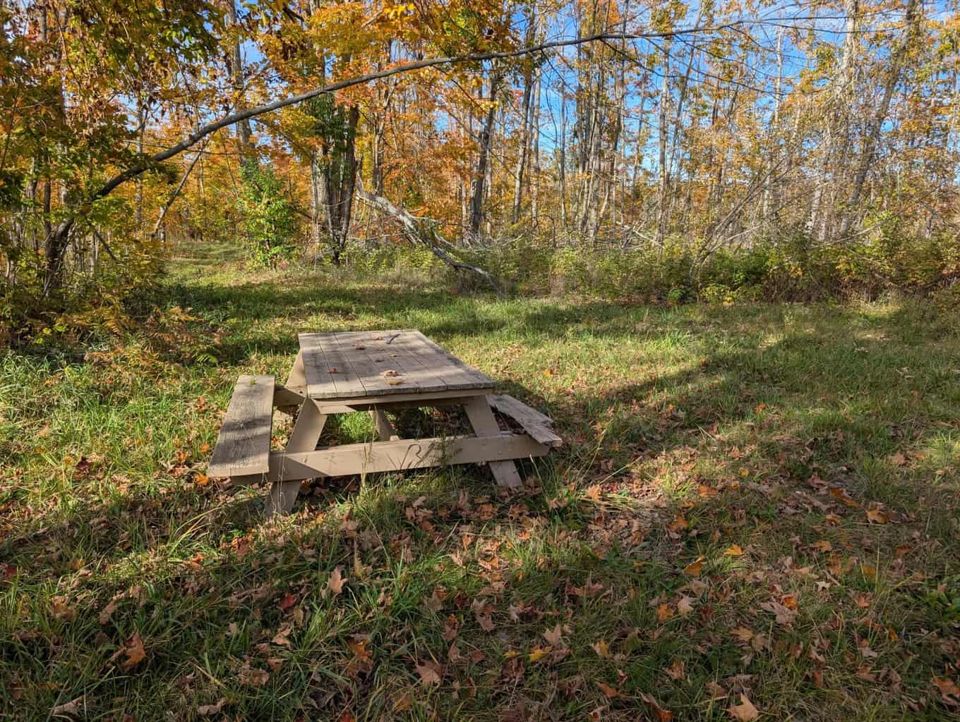 33+ Acre Hunting Camp with Cabin Near Gaylanta Lake, Atlanta MI