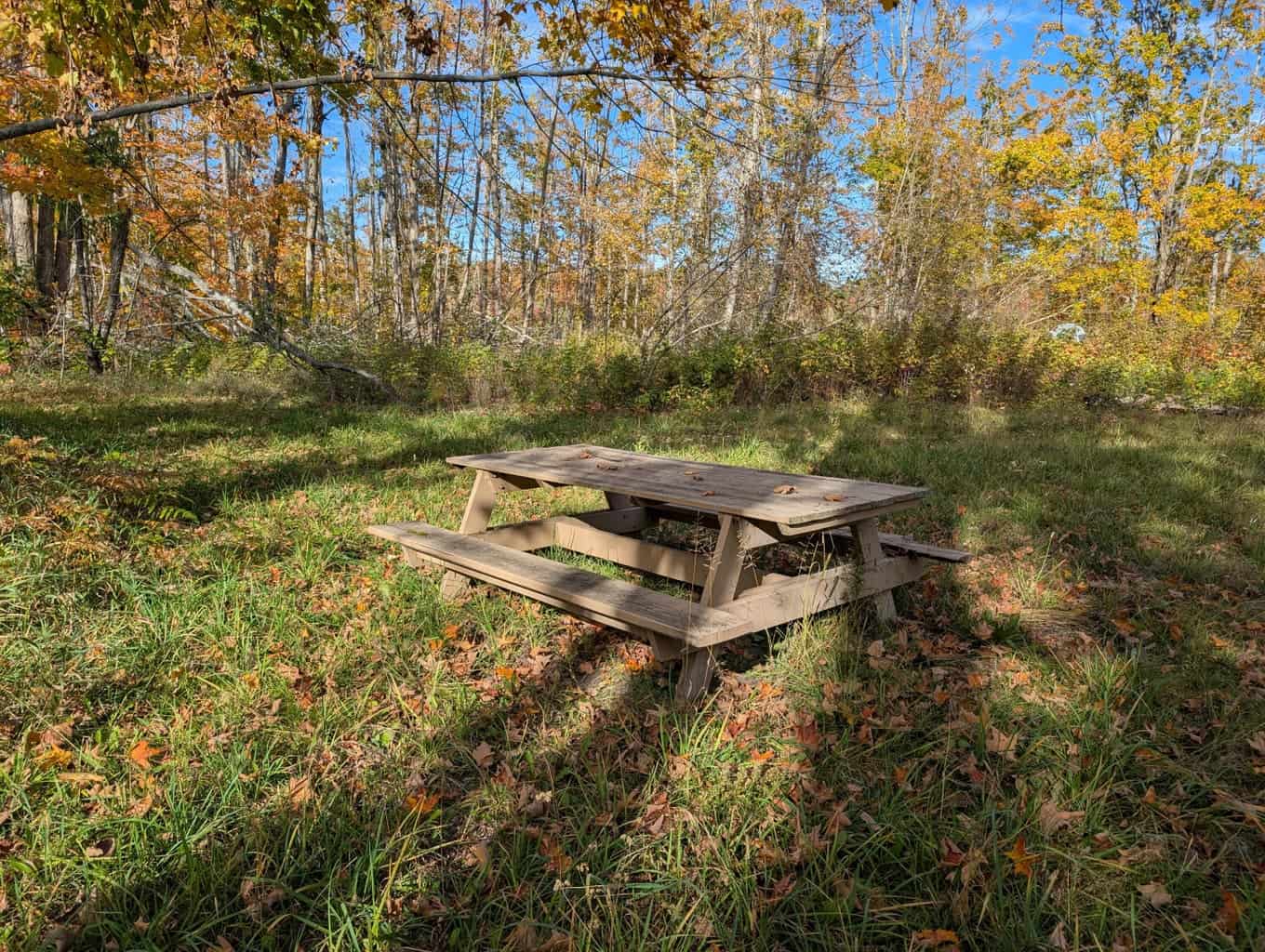 33+ Acre Hunting Camp with Cabin Near Gaylanta Lake, Atlanta MI
