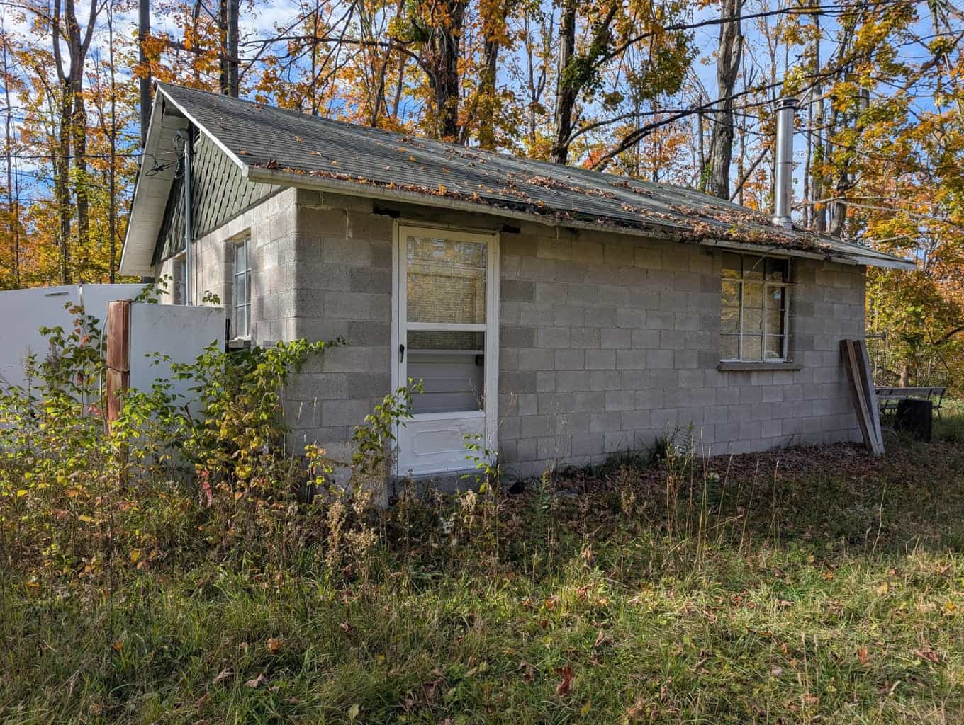 33+ Acre Hunting Camp with Cabin Near Gaylanta Lake, Atlanta MI