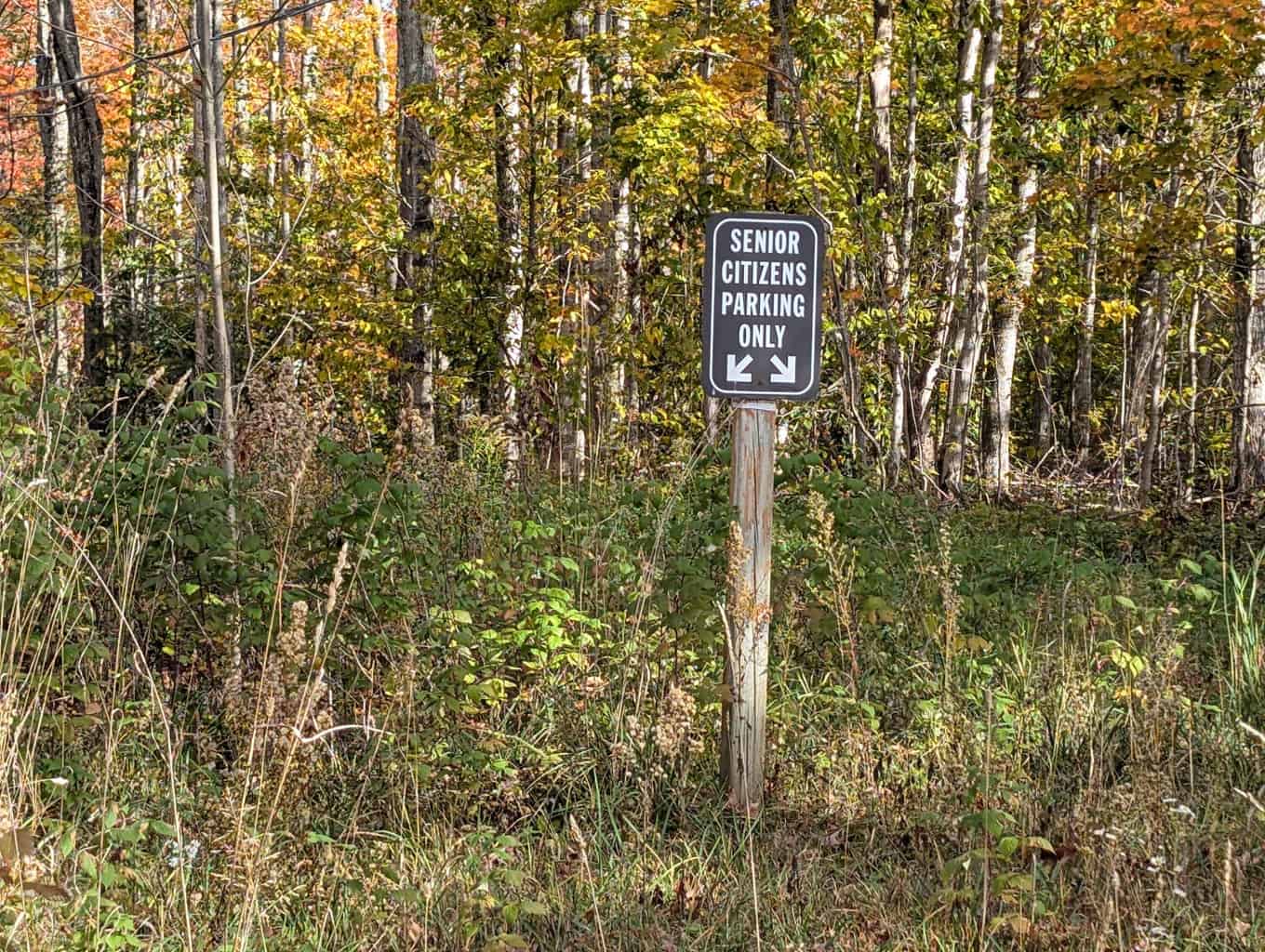 33+ Acre Hunting Camp with Cabin Near Gaylanta Lake, Atlanta MI