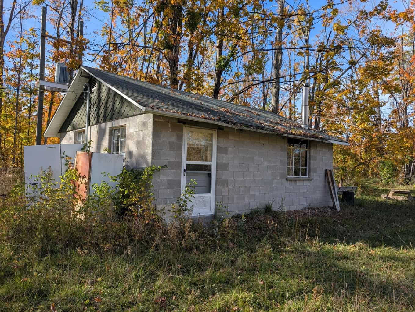 33+ Acre Hunting Camp with Cabin Near Gaylanta Lake, Atlanta MI