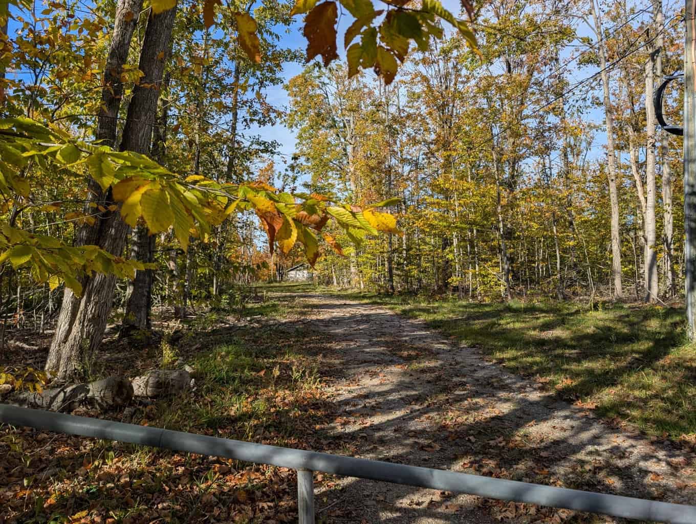 33+ Acre Hunting Camp with Cabin Near Gaylanta Lake, Atlanta MI