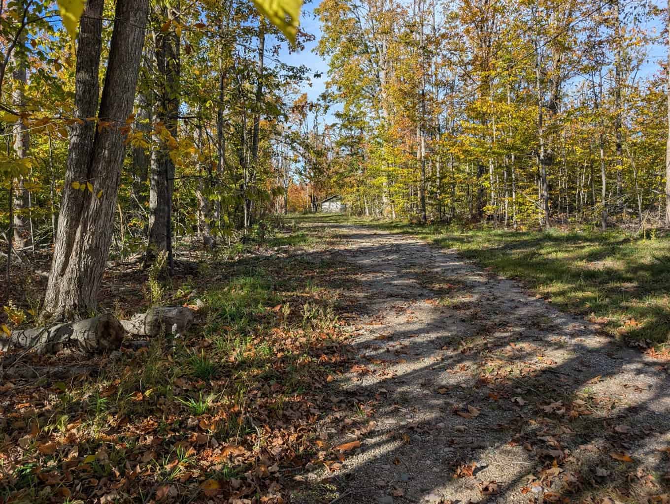 33+ Acre Hunting Camp with Cabin Near Gaylanta Lake, Atlanta MI