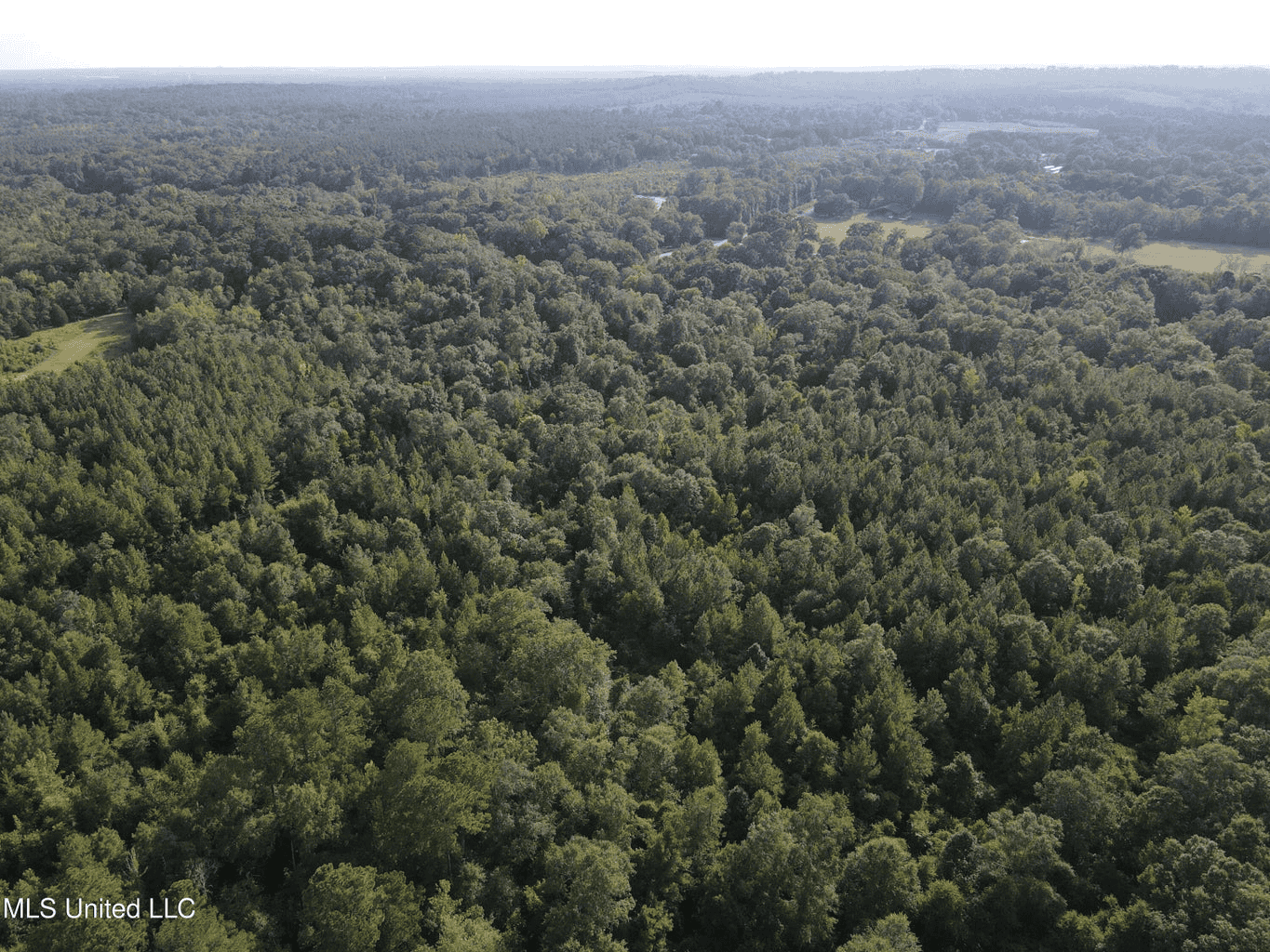 48 Acres for Sale in Jones County, MS Ellisvillle, MS