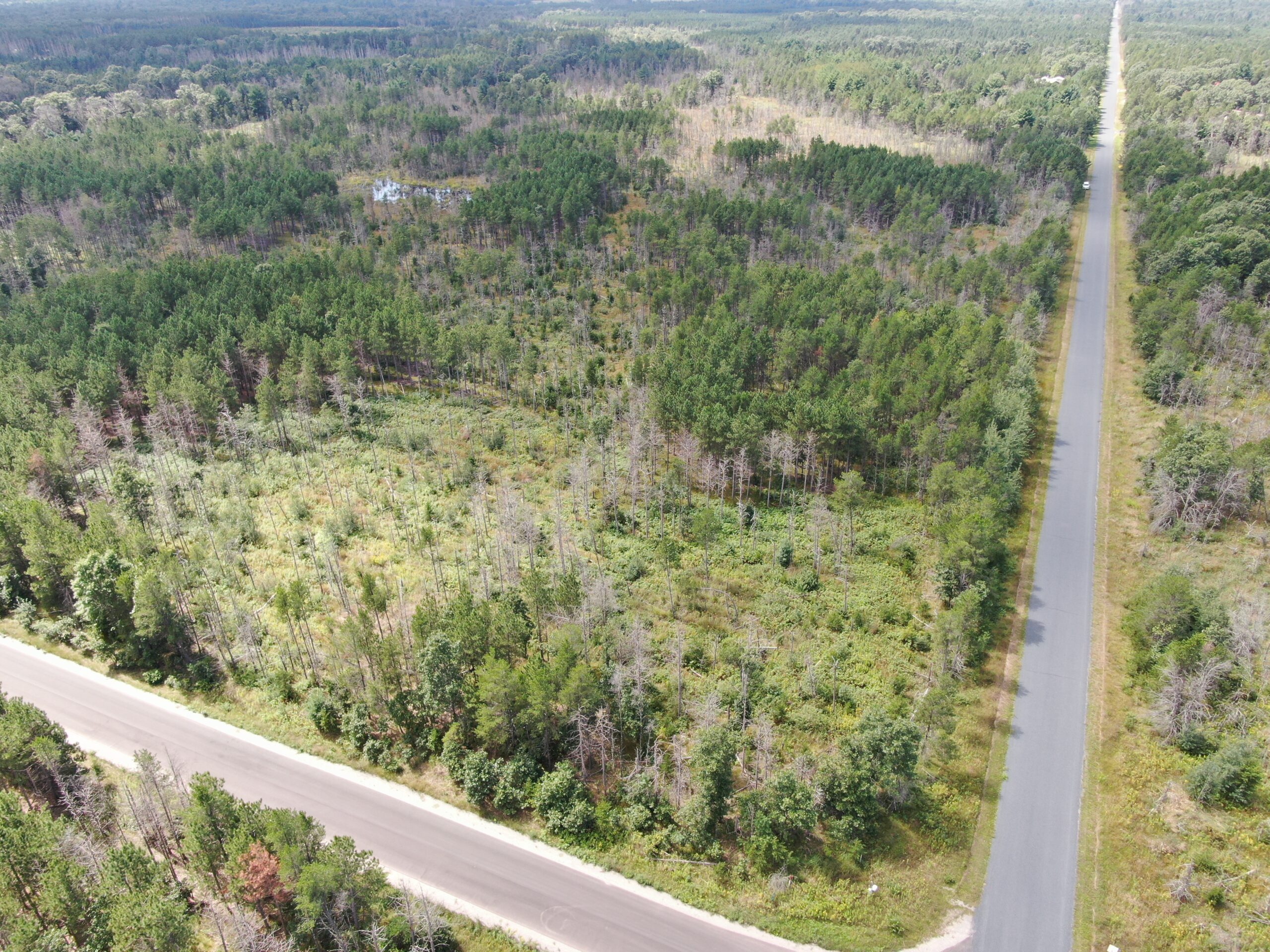 40-acre corner parcel in the Town of Monroe