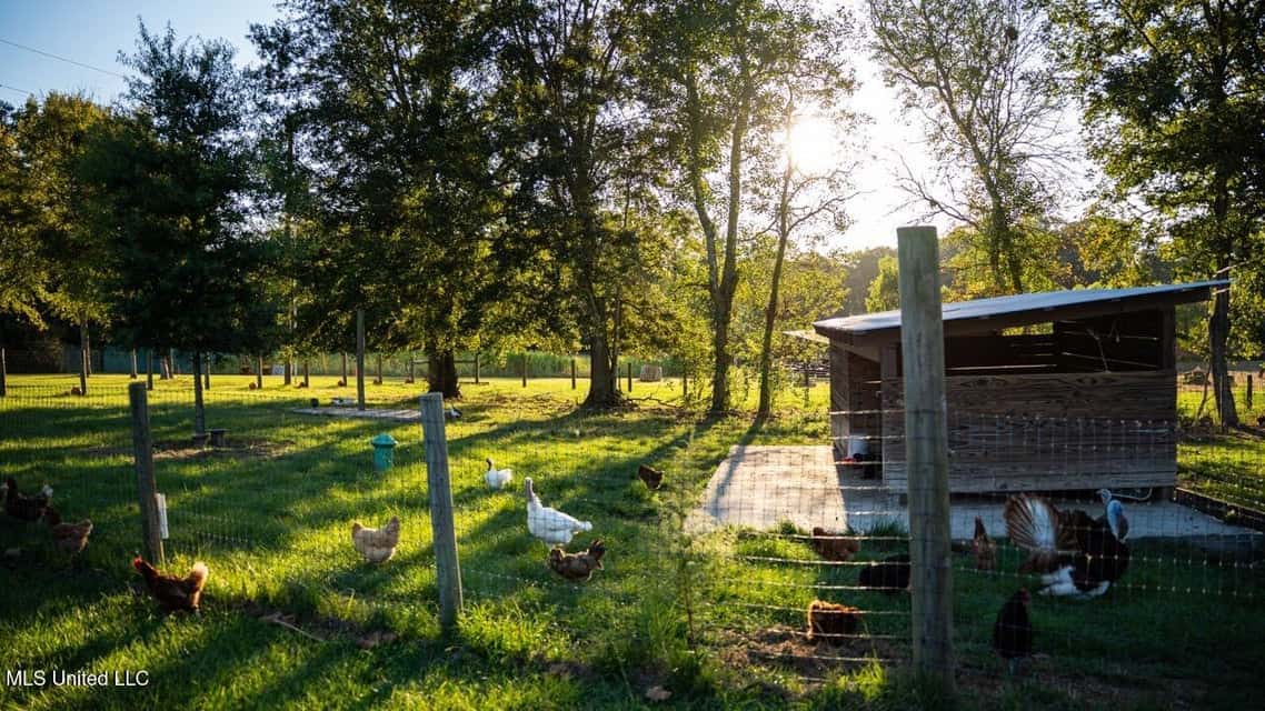 Magnolia Wilds – Premier Louisiana Investment Property for Sale