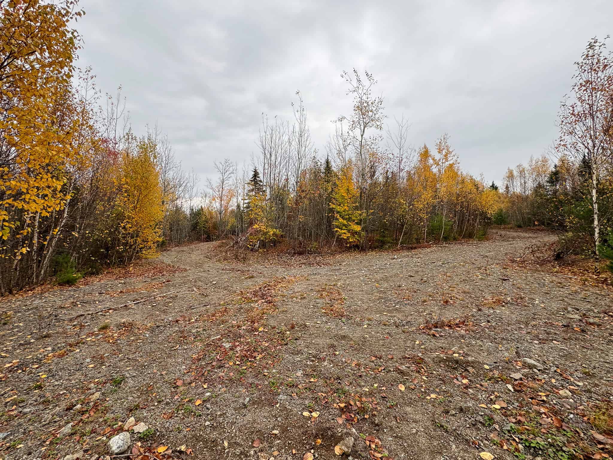 80± Acres Near the Coast – Pembroke, Maine