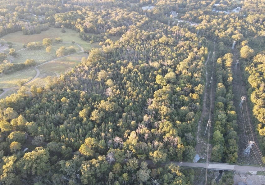 28 Acres for Sale South Jackson, Hinds County, MS