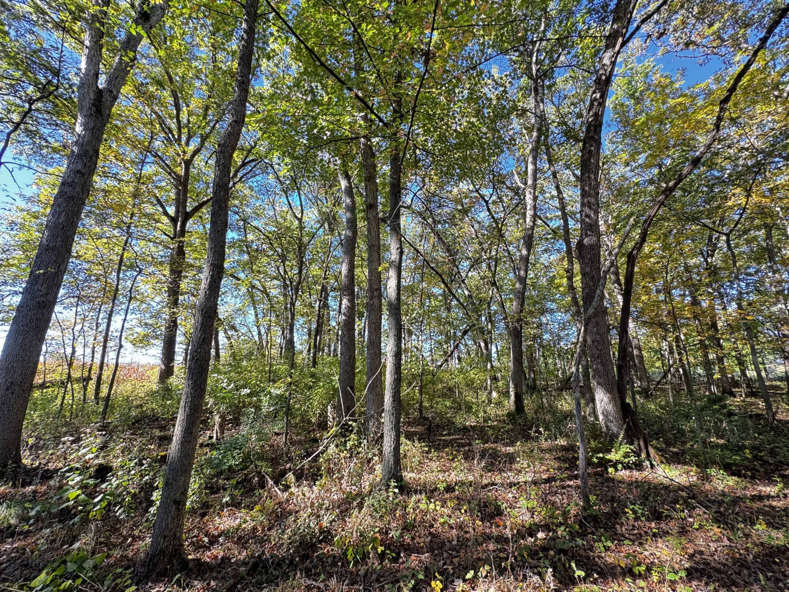28± acre Sauk County Gem of a Property