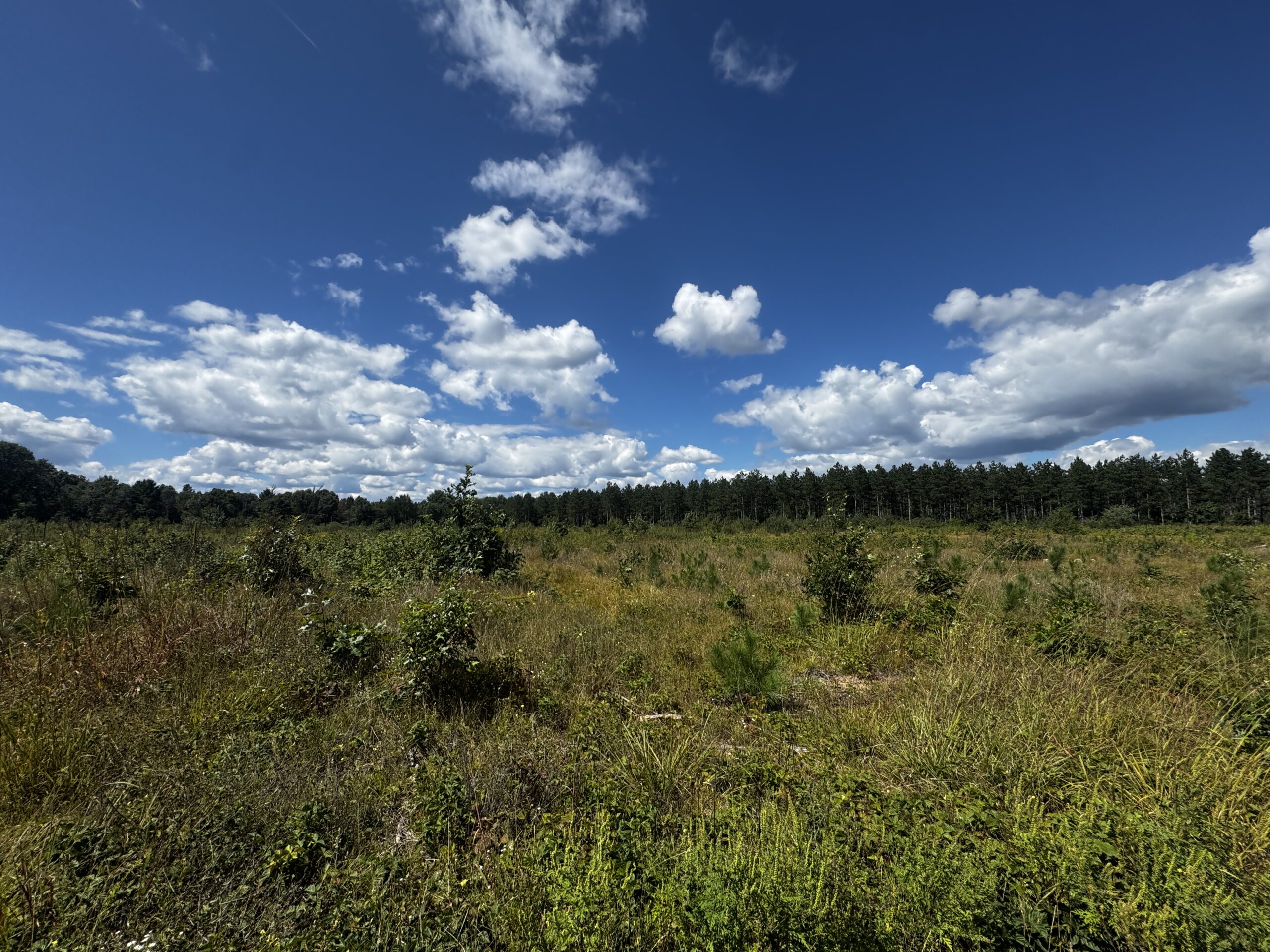 80-acre parcel in the Town of Big Flats