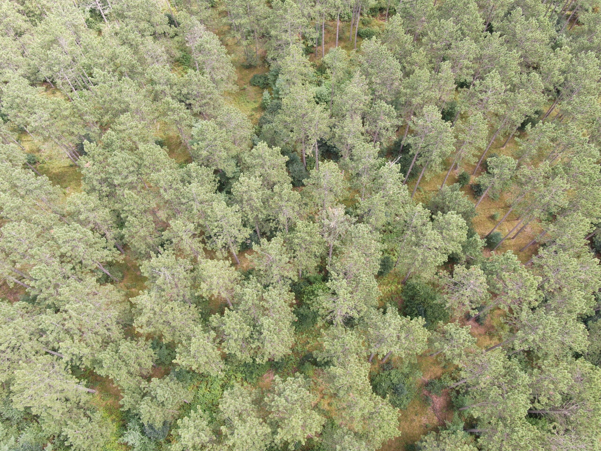 Escape to 80 acres of heavily timbered ground in Adams County