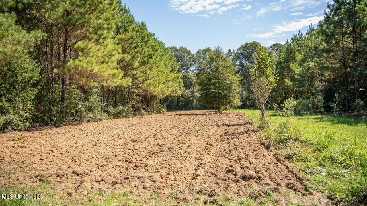 203 Acres in Smithdale MS – Turnkey Hunting Retreat