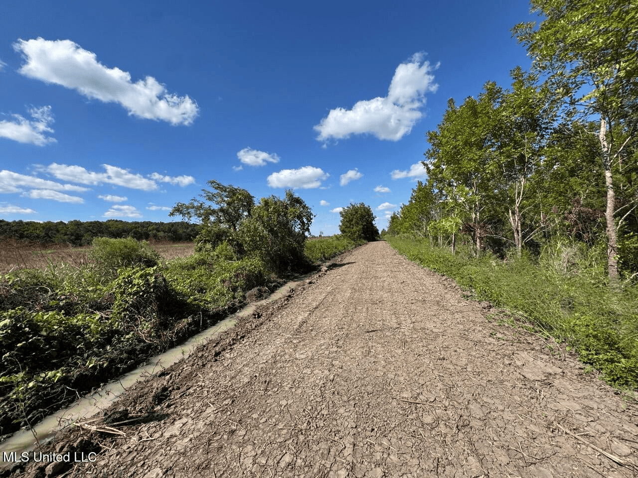 Tensas Parish Land Near Lake St. John – 80 Acres
