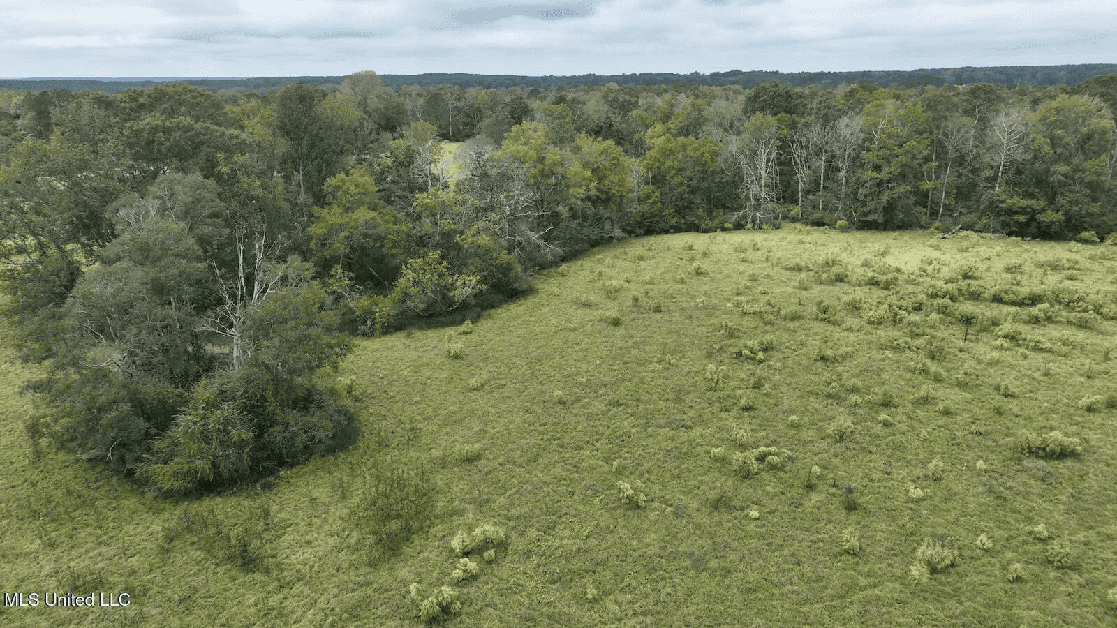 Prentiss MS Pasture Land for sale