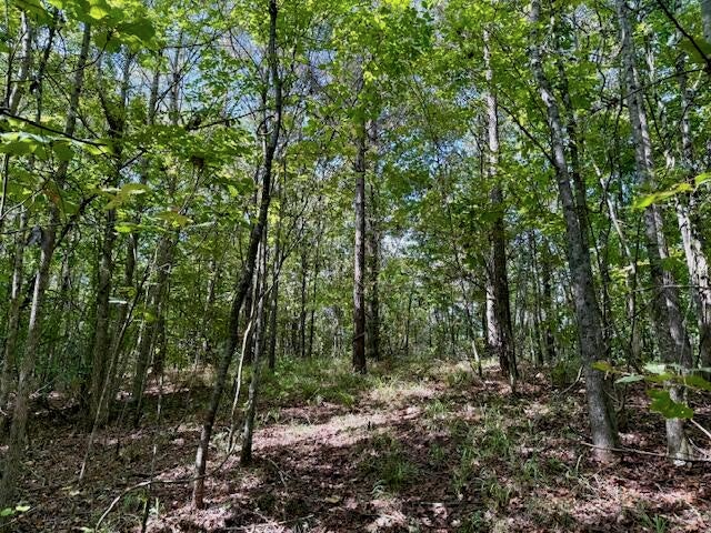 Mississippi Land For Sale With A Creek