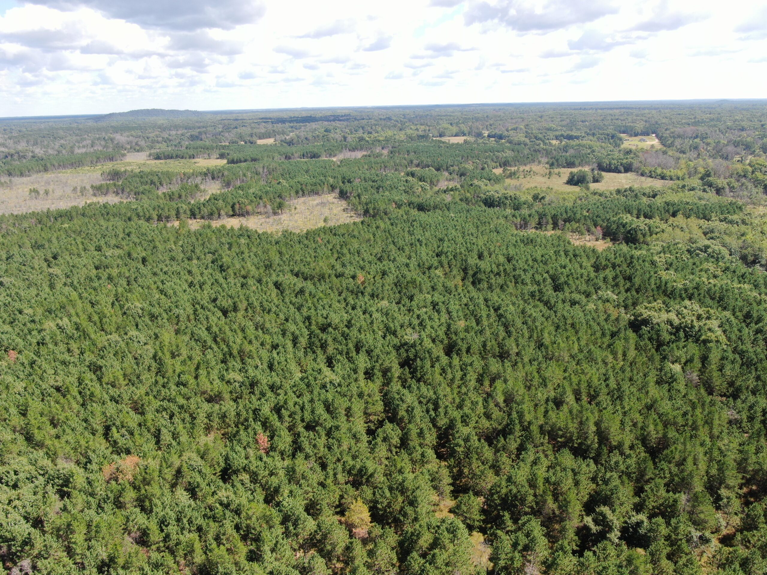 80-acre timbered tract in the Town of Big Flats, Adams County