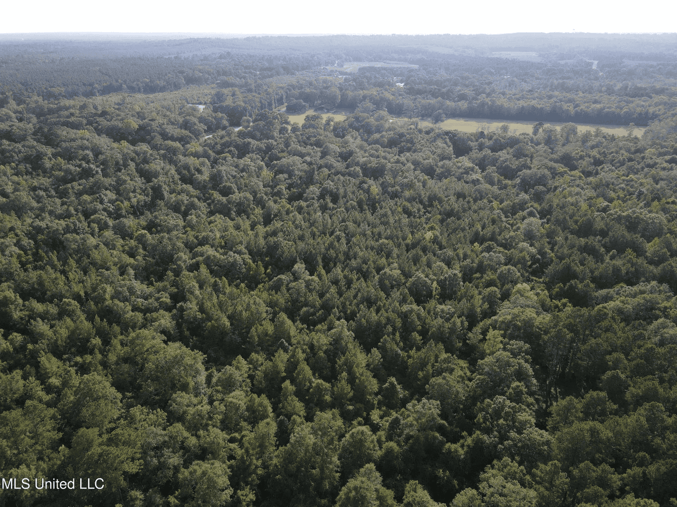 48 Acres for Sale in Jones County, MS Ellisvillle, MS