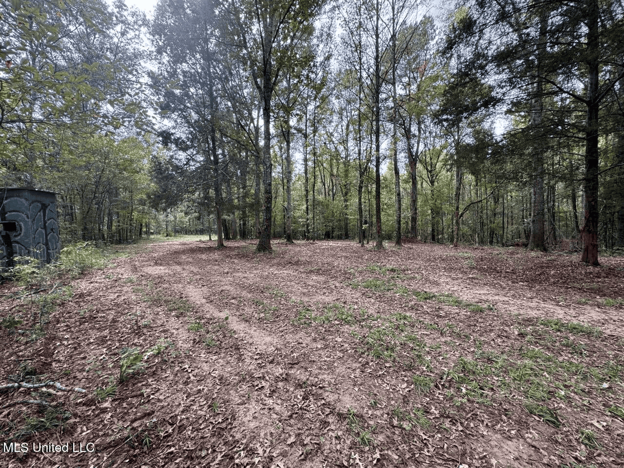Hunting Land in Claiborne County, MS – The Sawmill 98