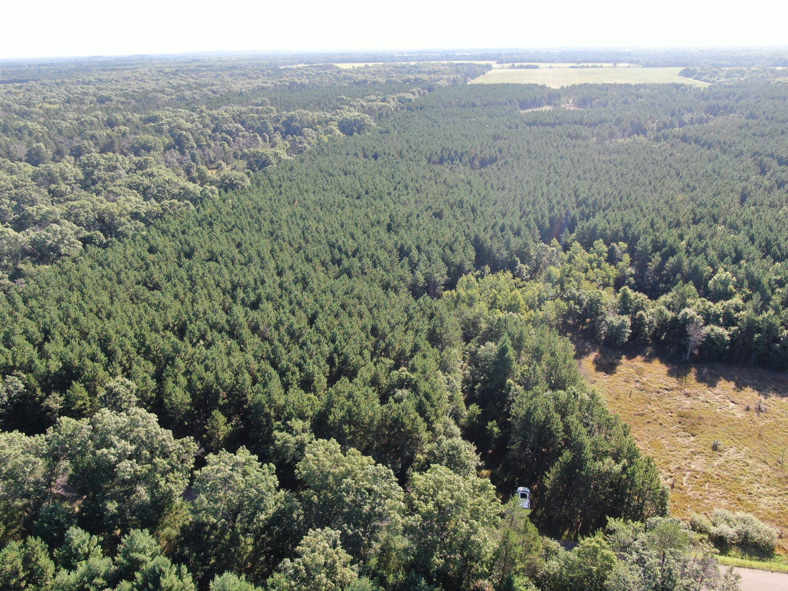 80-acre timber tract in Adams County