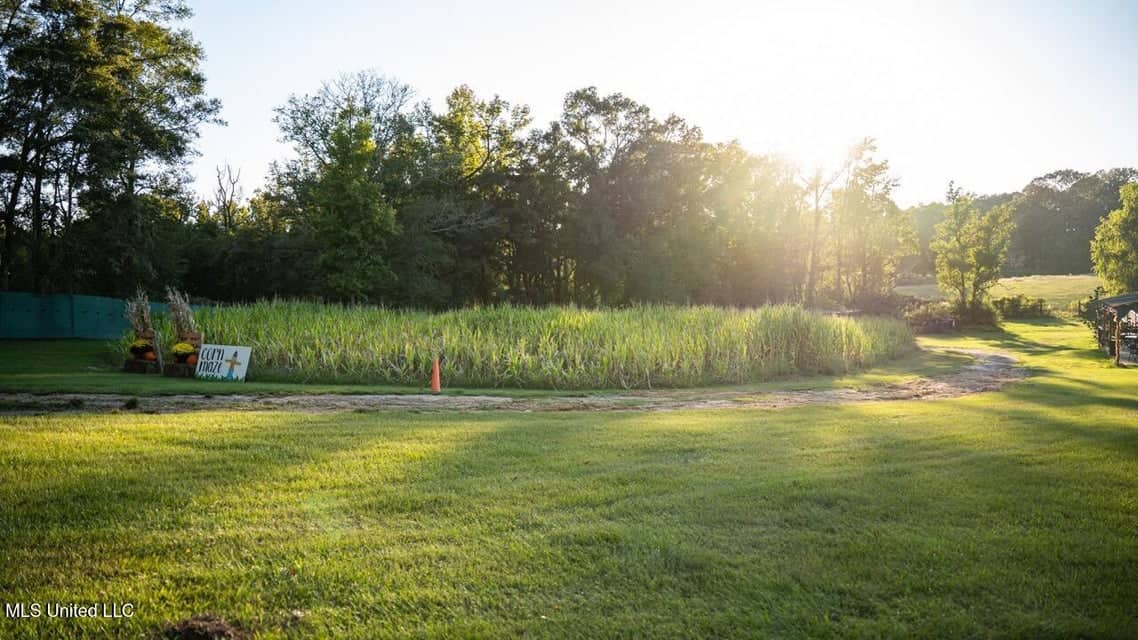 Magnolia Wilds – Premier Louisiana Investment Property for Sale