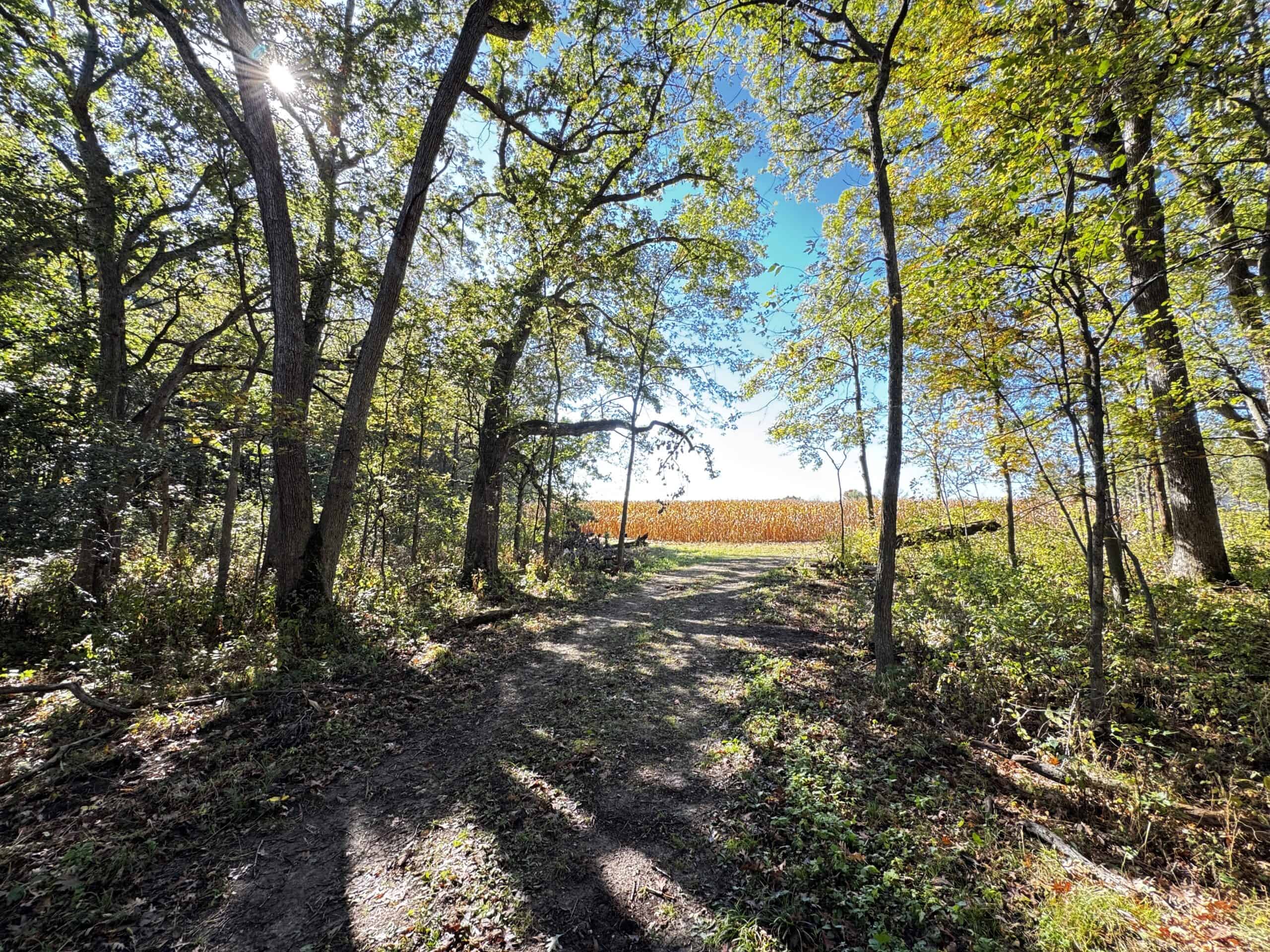 28± acre Sauk County Gem of a Property