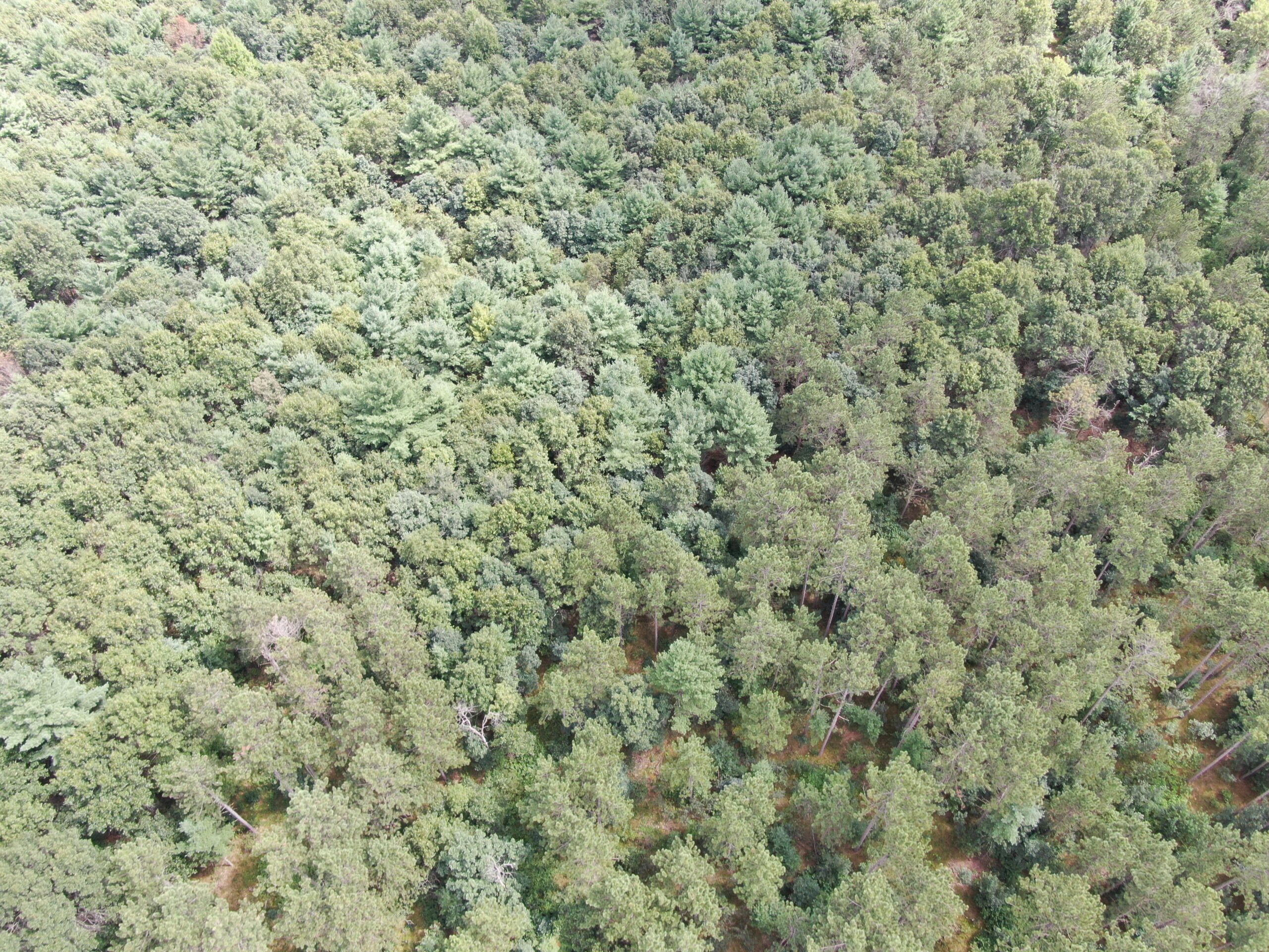 Escape to 80 acres of heavily timbered ground in Adams County