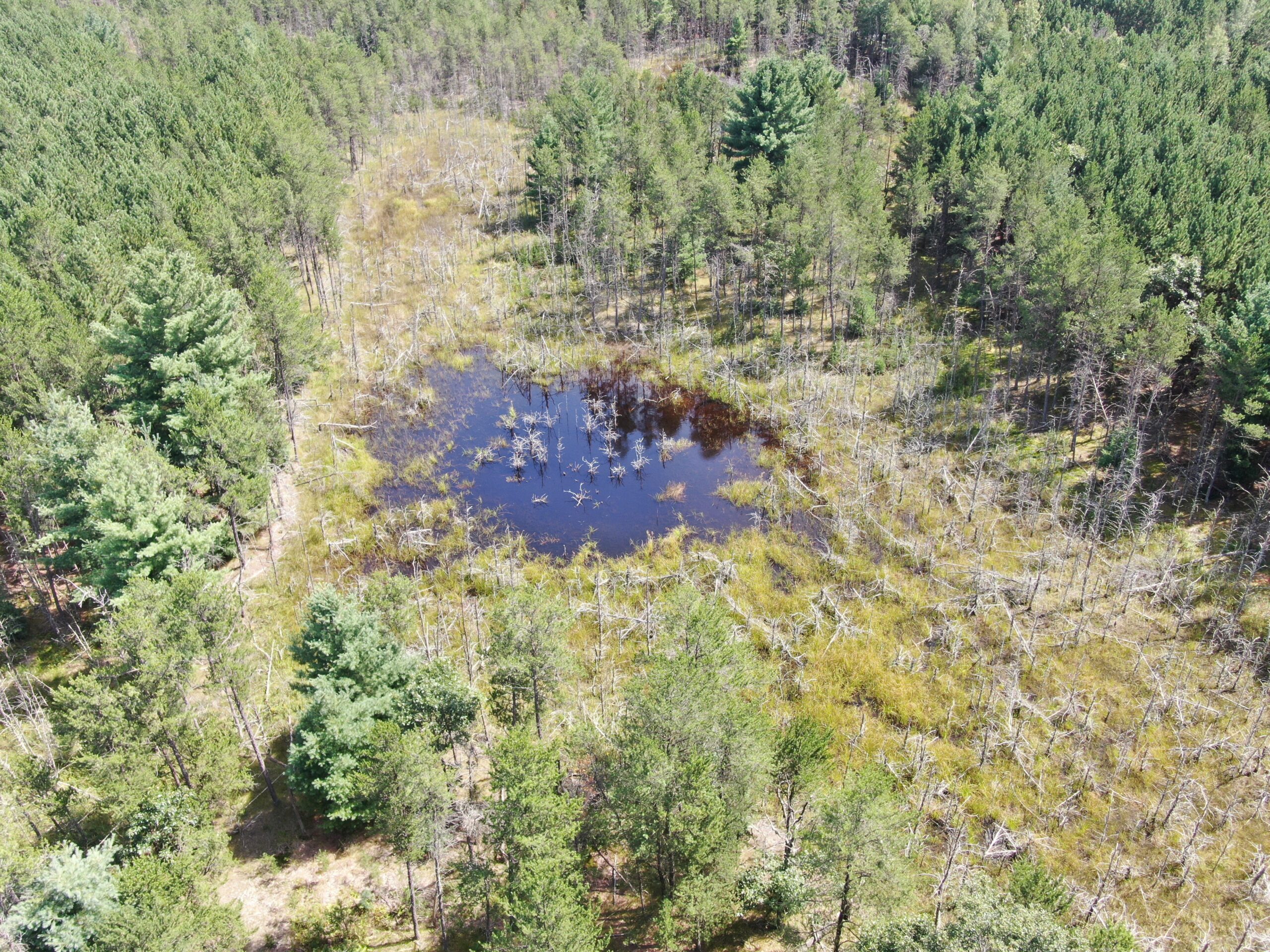 40 acres of recreational land in the Town of Monroe, Adams County