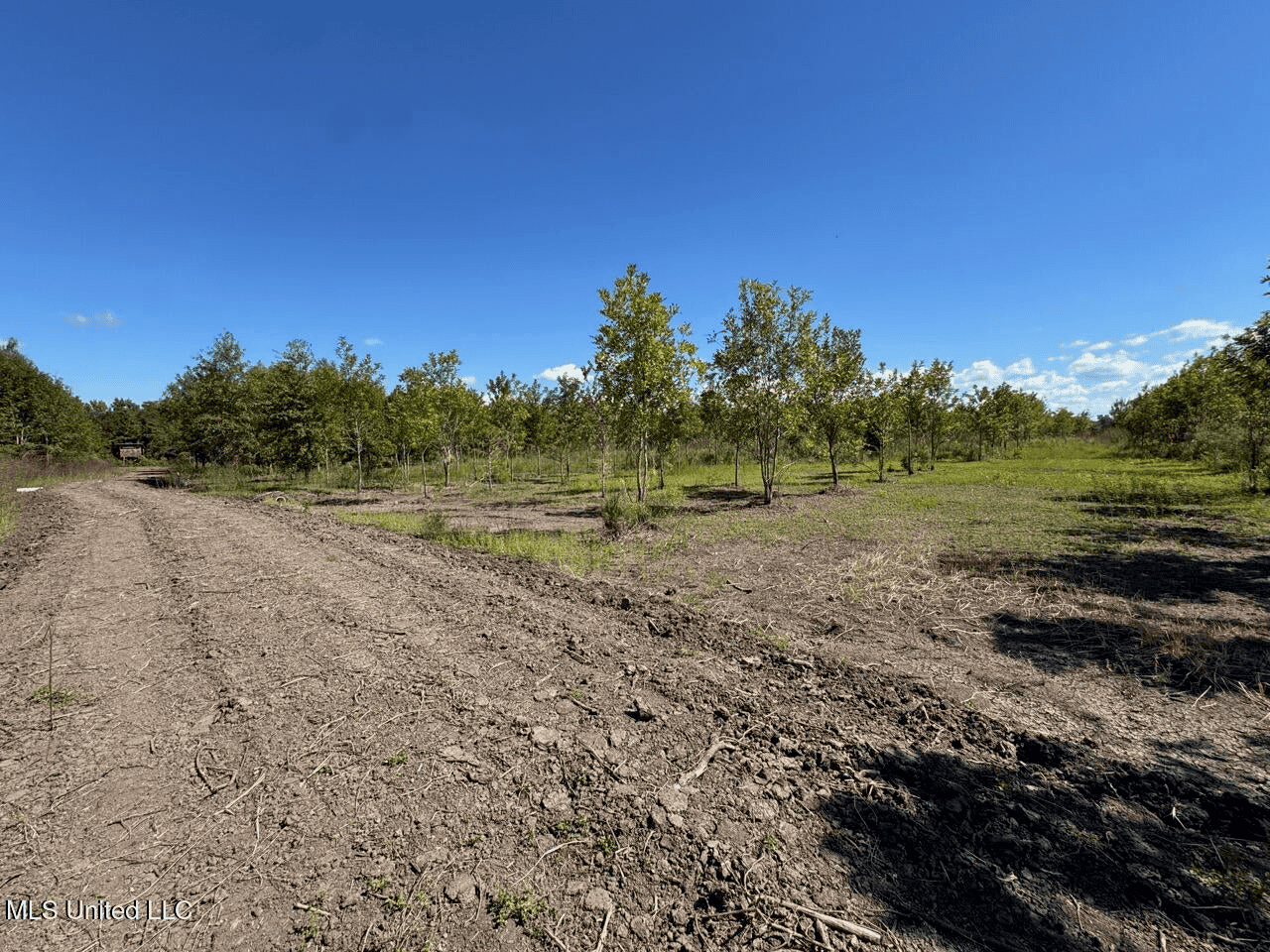 Tensas Parish Land Near Lake St. John – 80 Acres