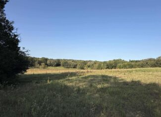 East Texas Hunting Property with Year-Round Creek in Fruitvale