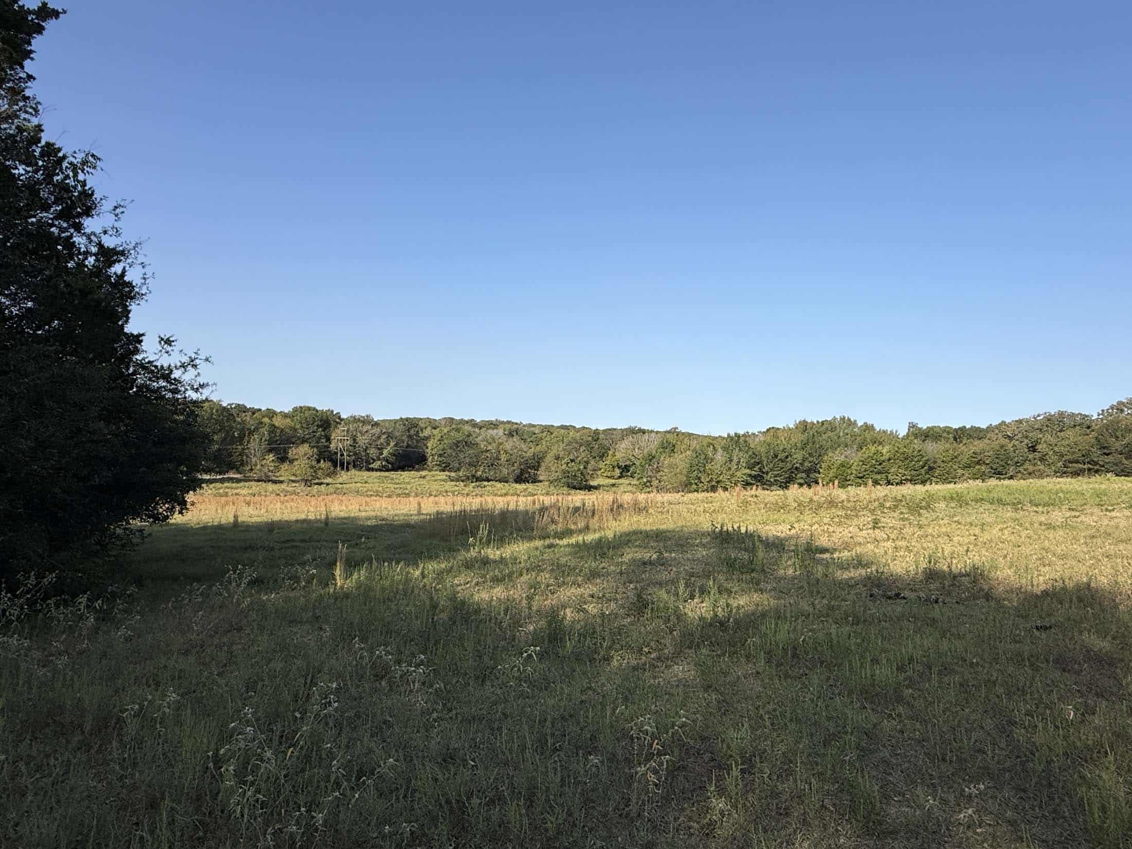 East Texas Hunting Property with Year-Round Creek in Fruitvale