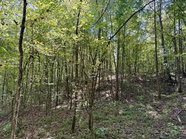 Mississippi Land For Sale With A Creek