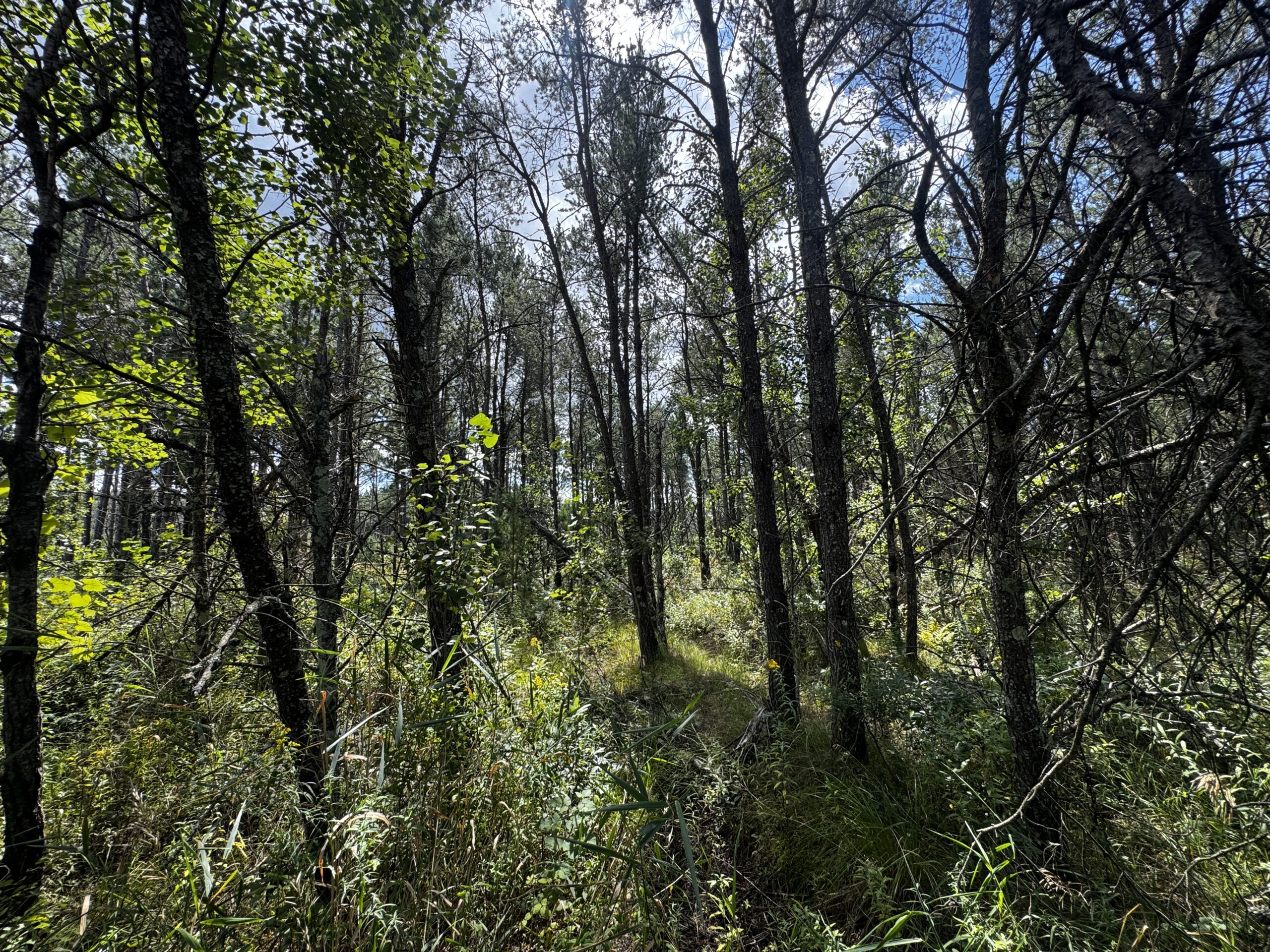 40-acre corner parcel in the Town of Monroe
