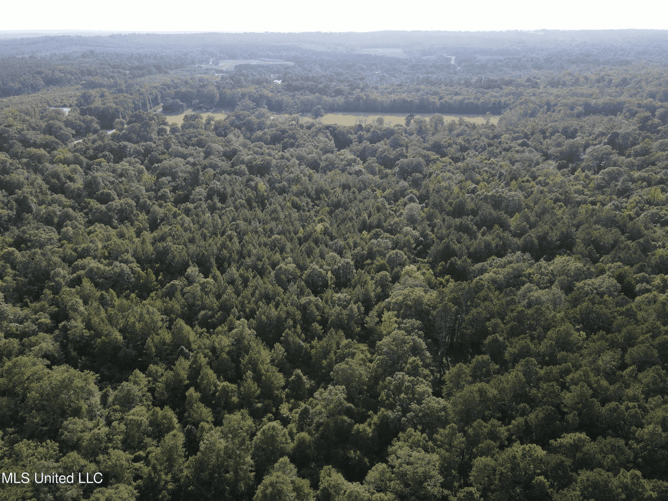 48 Acres for Sale in Jones County, MS Ellisvillle, MS