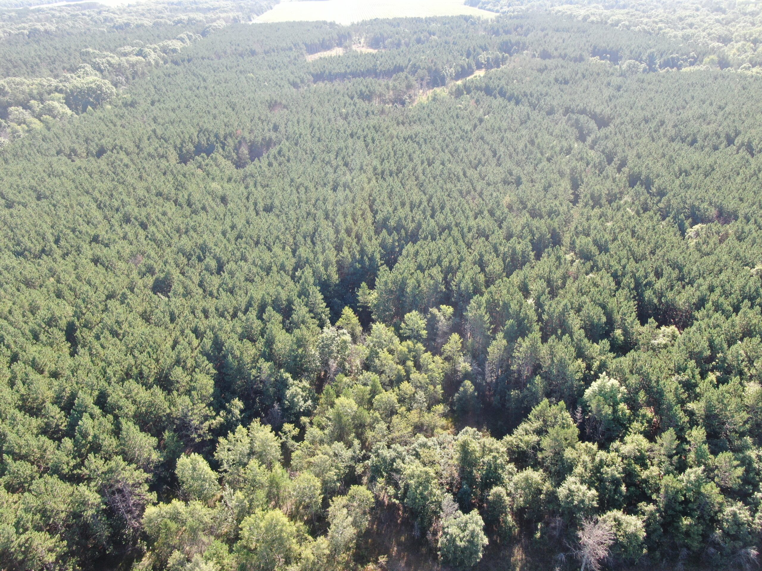 80-acre timber tract in Adams County