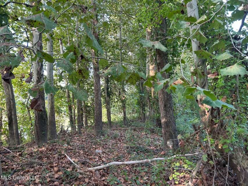 Yazoo River Hunting Tract 78.16 Acres