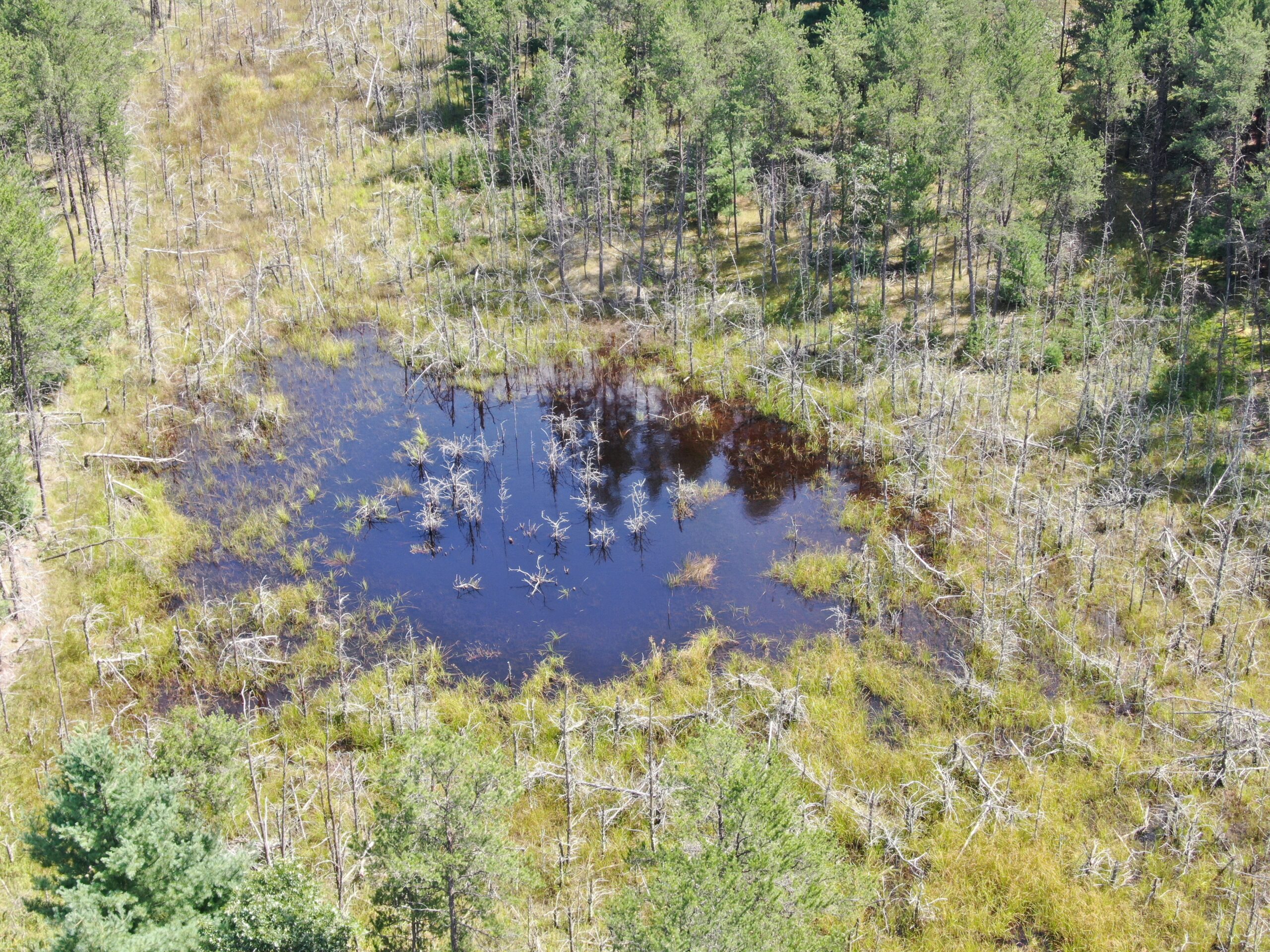 40 acres of recreational land in the Town of Monroe, Adams County