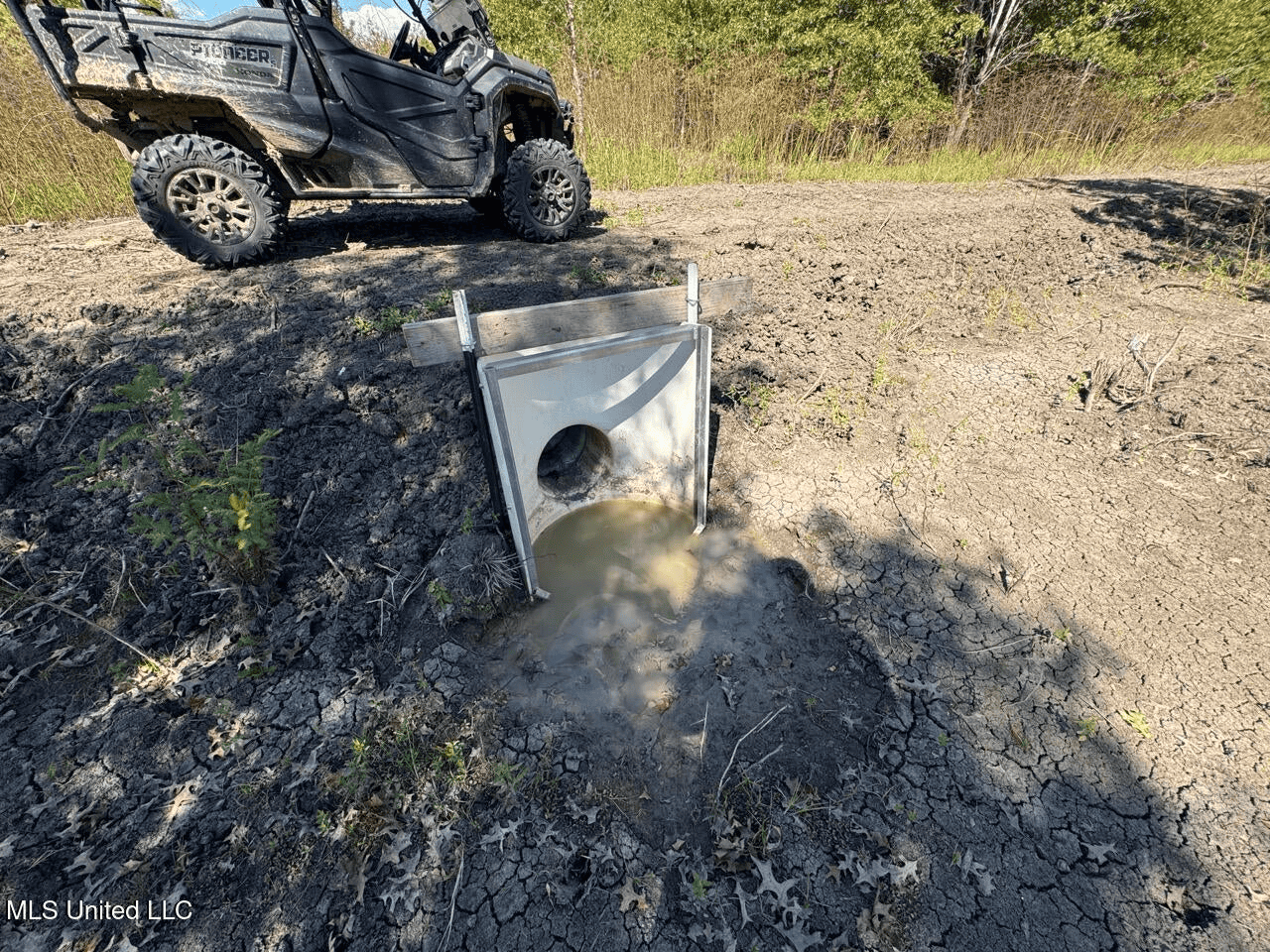 Tensas Parish Land Near Lake St. John – 80 Acres