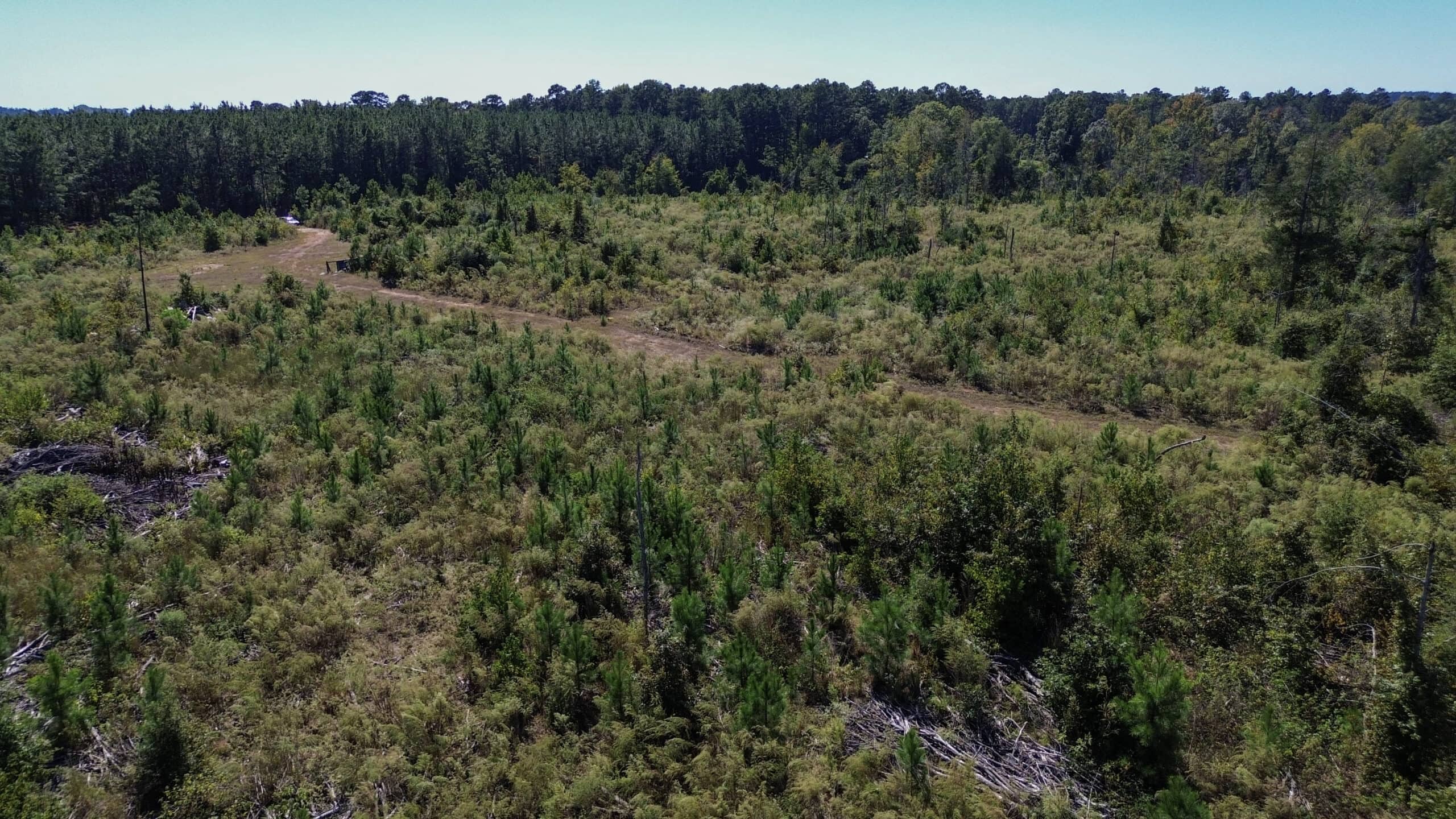 Affordable Lincoln Parish Land for Sale – Tract 4