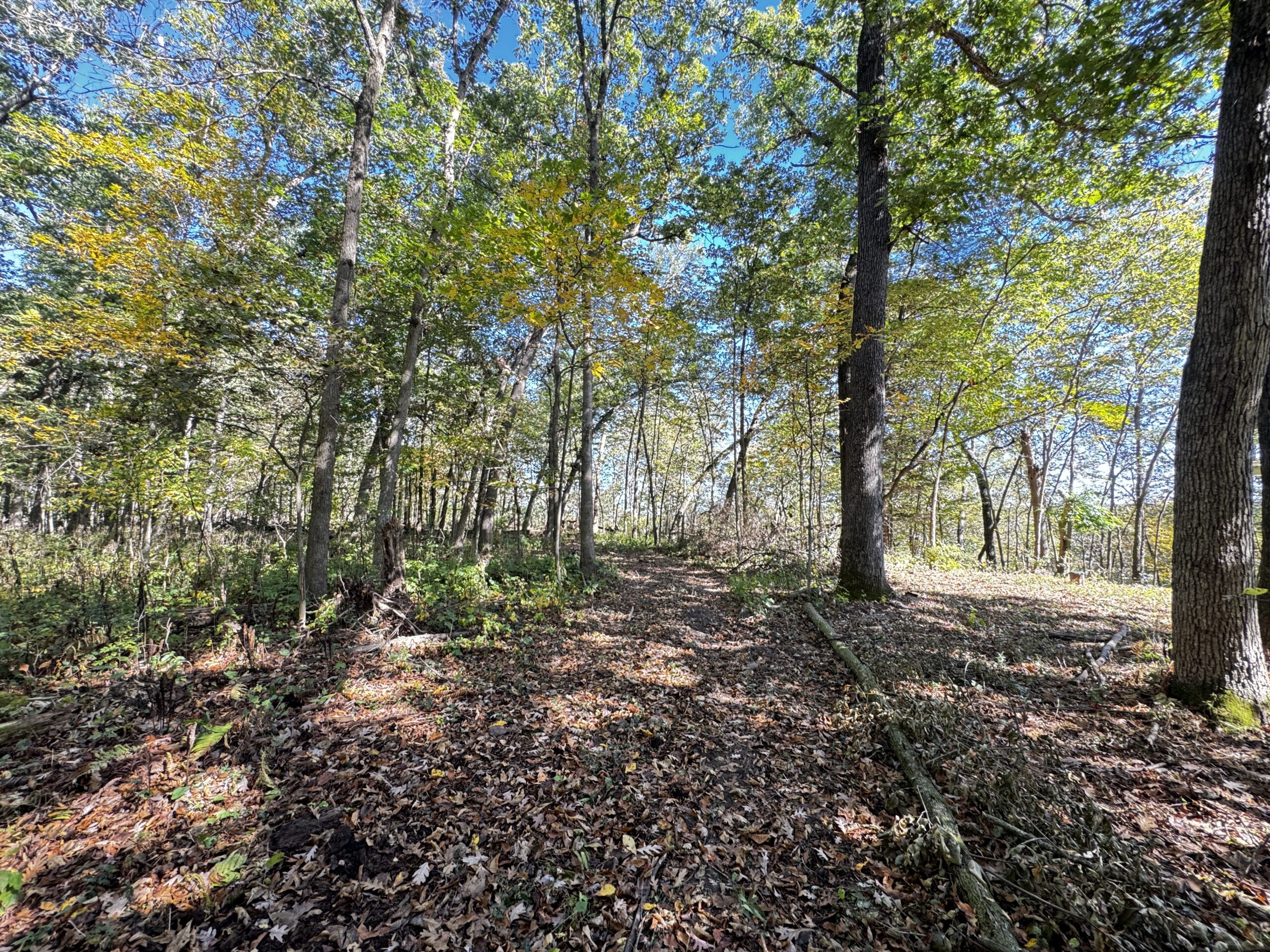 20± acre Sauk County Gem of a Property