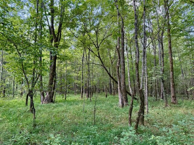 Mississippi Land For Sale With A Creek