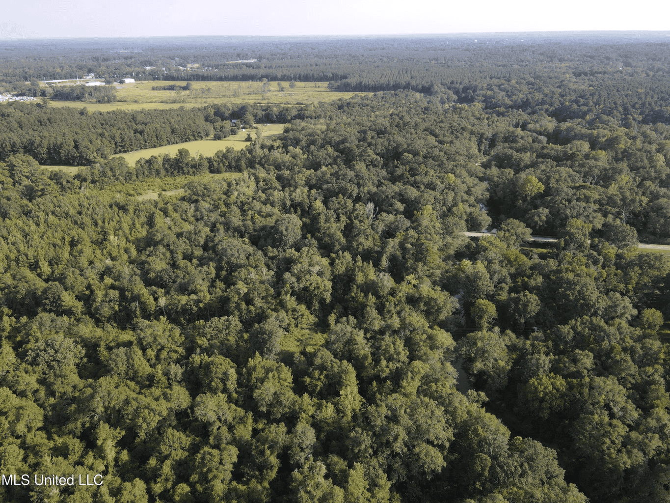 48 Acres for Sale in Jones County, MS Ellisvillle, MS