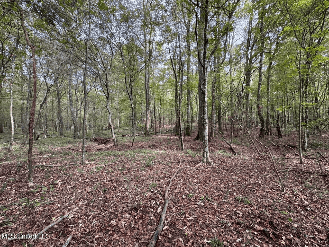 Hunting Land in Claiborne County, MS – The Sawmill 98